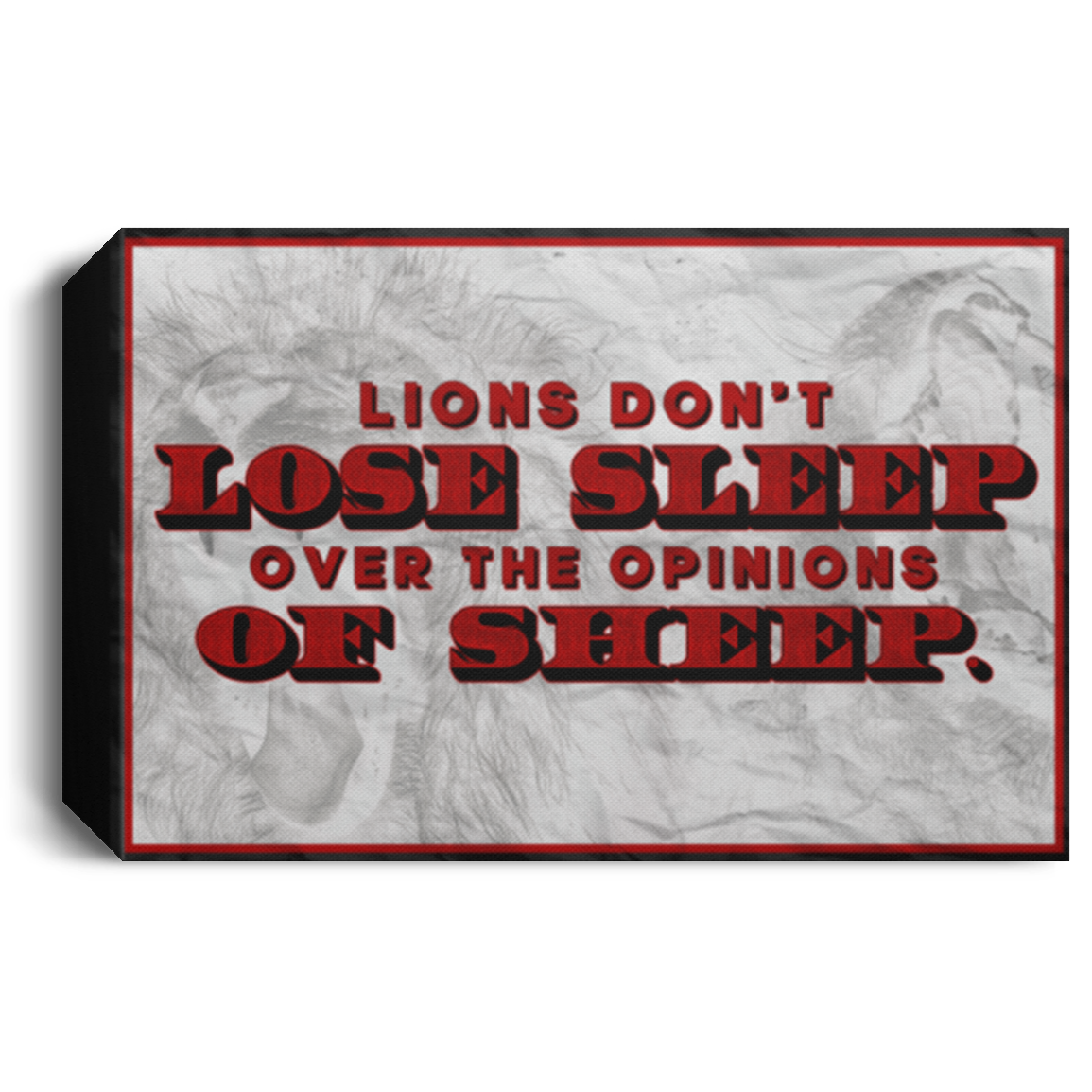 Lions Don't Lose Sleep