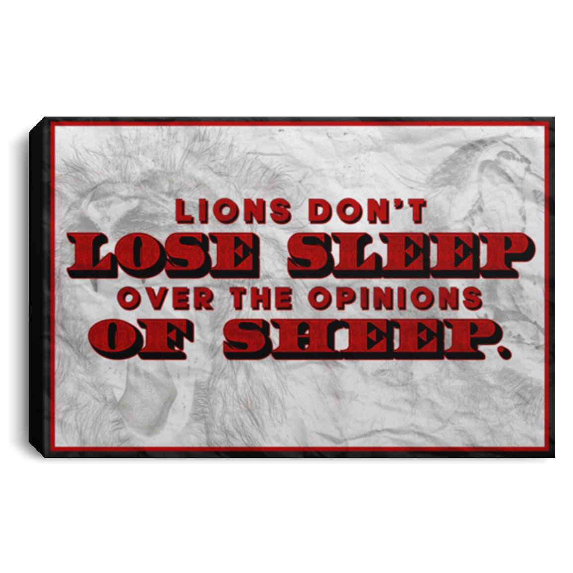 Lions Don't Lose Sleep