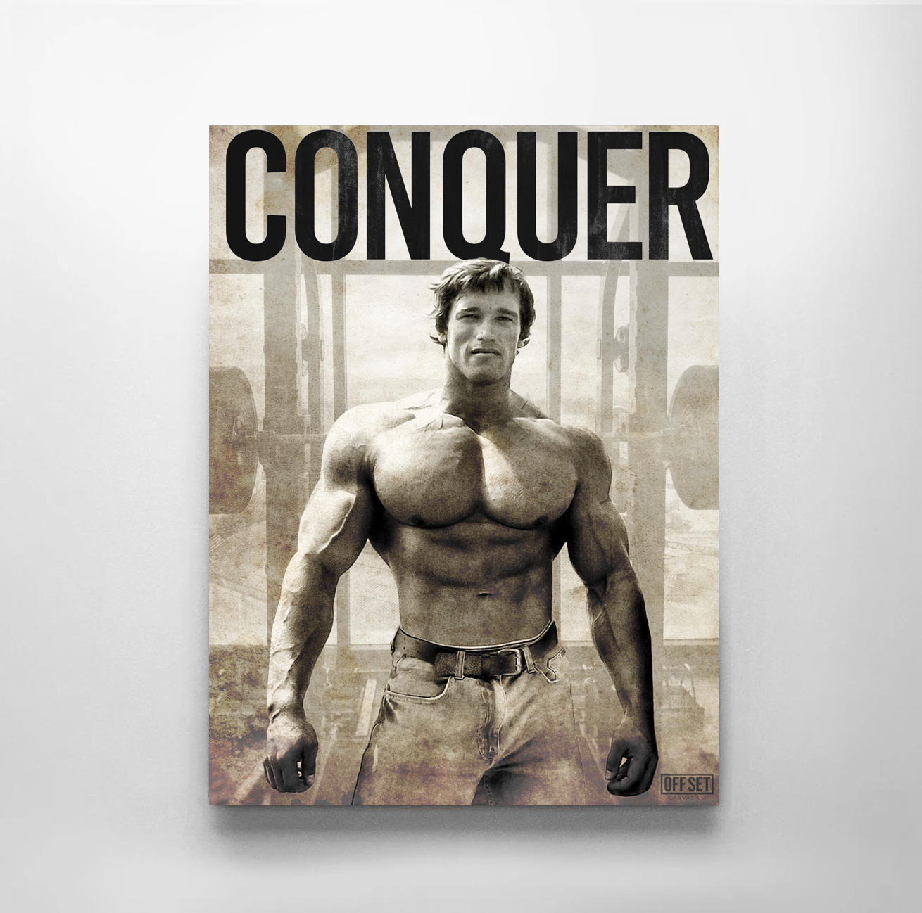 Arnold's Conquer